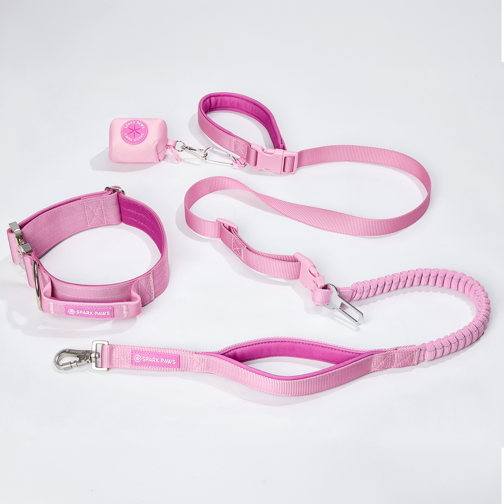 Comfort Control Collar and Multipurpose Leash Sets