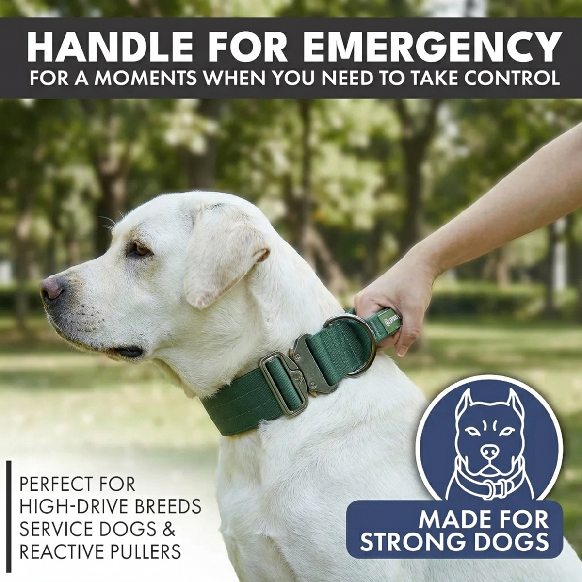 Comfort Control Collar and Multipurpose Leash Sets