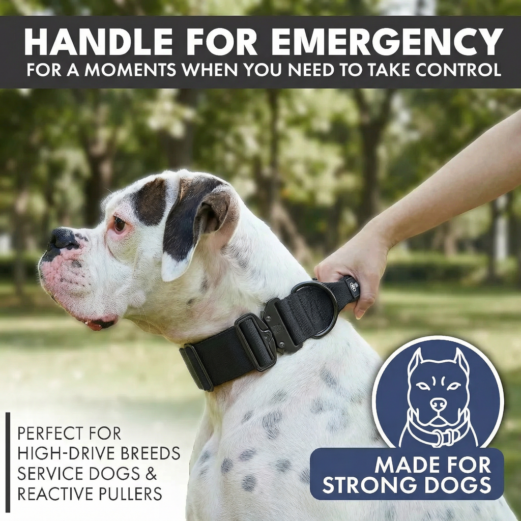 Comfort Control Collar and Multipurpose Leash Sets