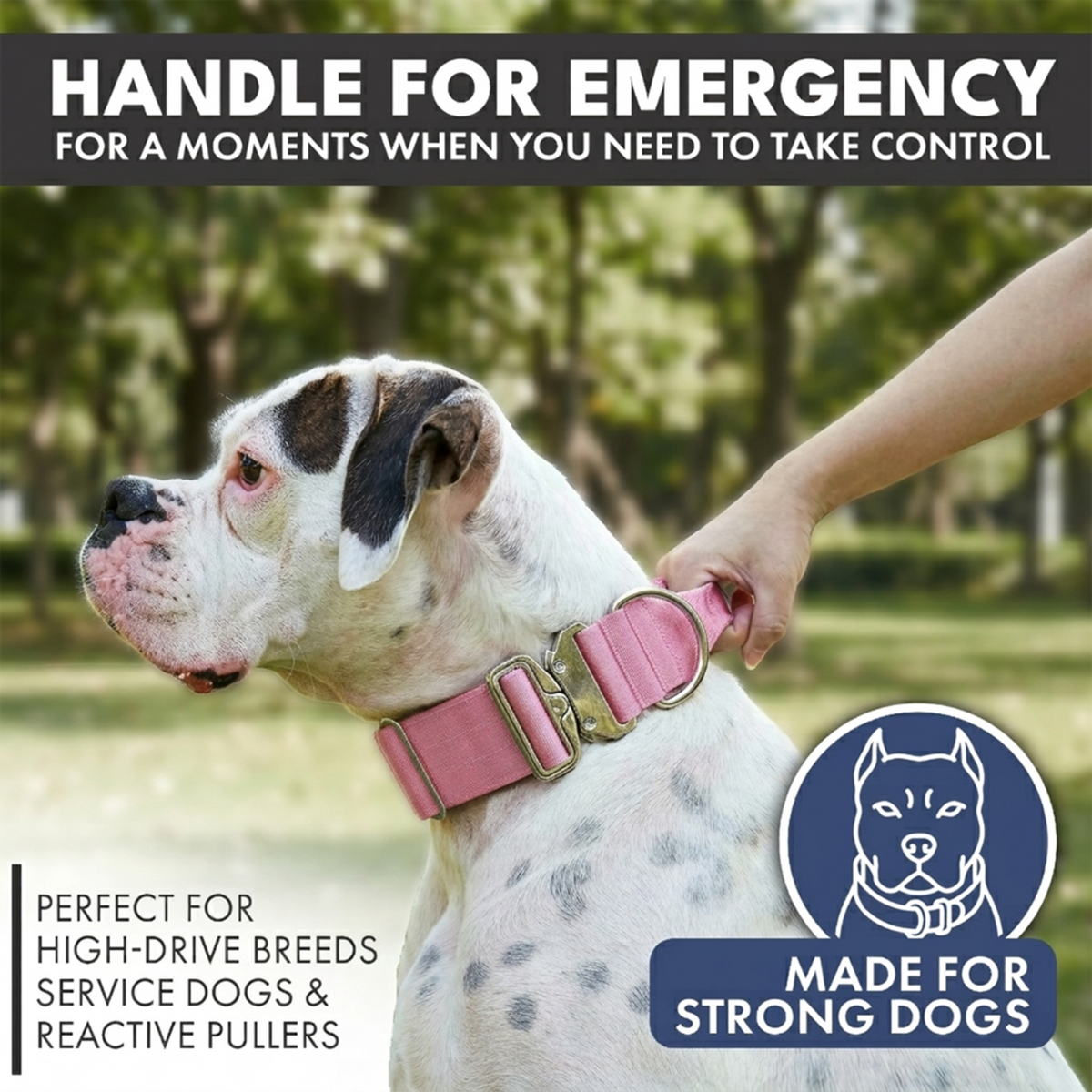 Comfort Control Collar and Multipurpose Leash Sets