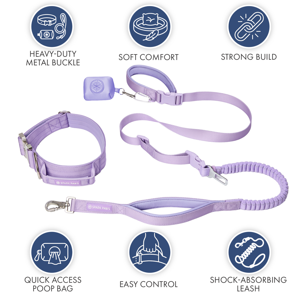 Comfort Control Collar and Multipurpose Leash Sets