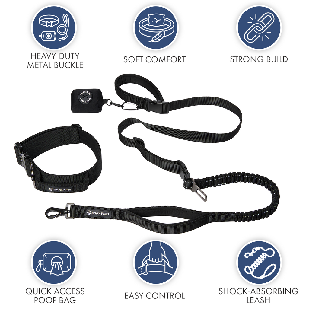 Comfort Control Collar and Multipurpose Leash Sets