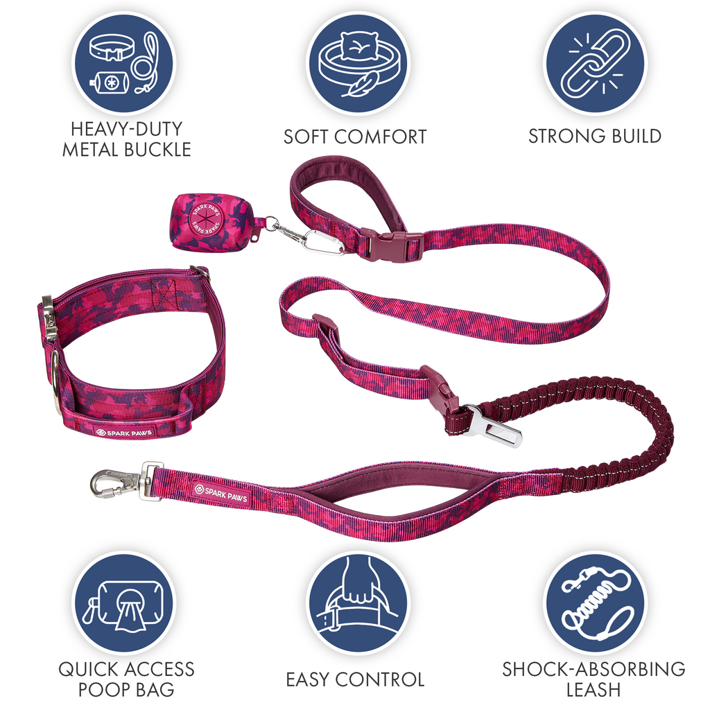 Comfort Control Collar and Multipurpose Leash Sets