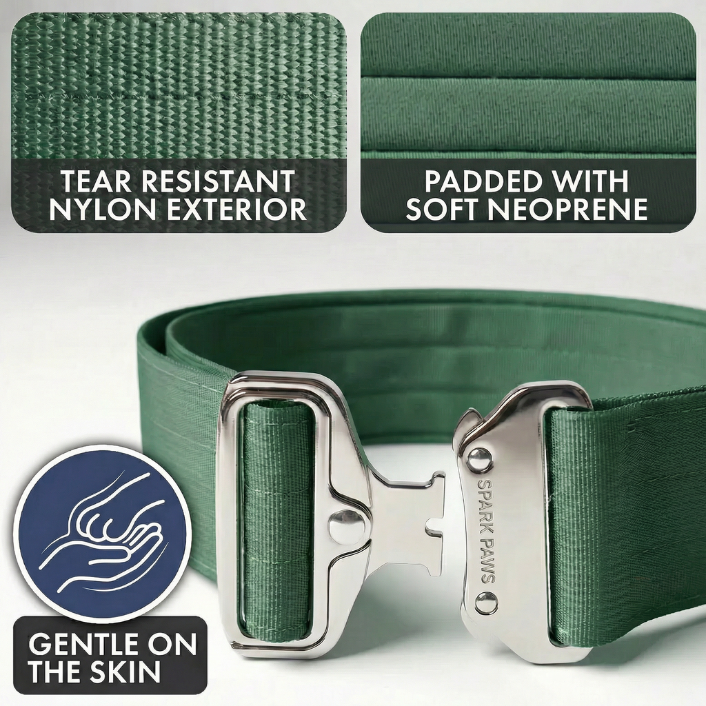 Comfort Control Collar and Multipurpose Leash Sets
