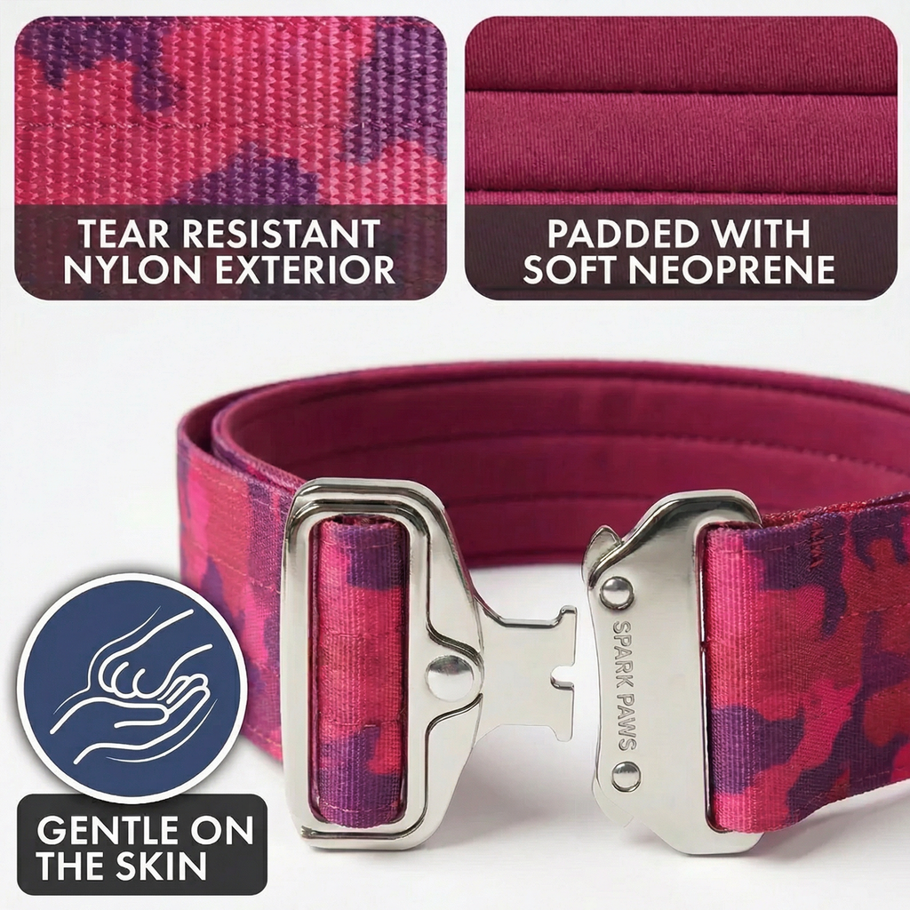 Comfort Control Collar and Multipurpose Leash Sets