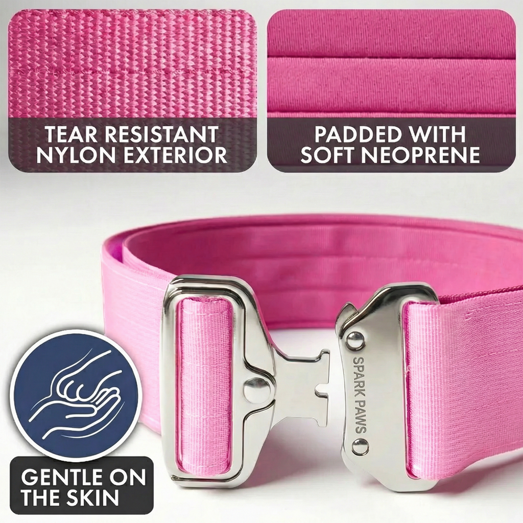 Comfort Control Collar and Multipurpose Leash Sets