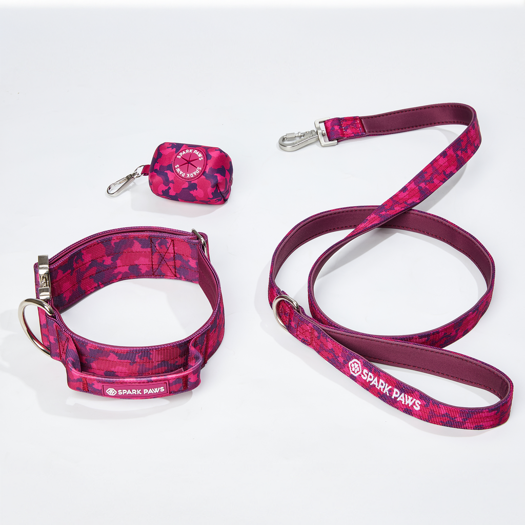 Comfort Control Dog Collar Sets