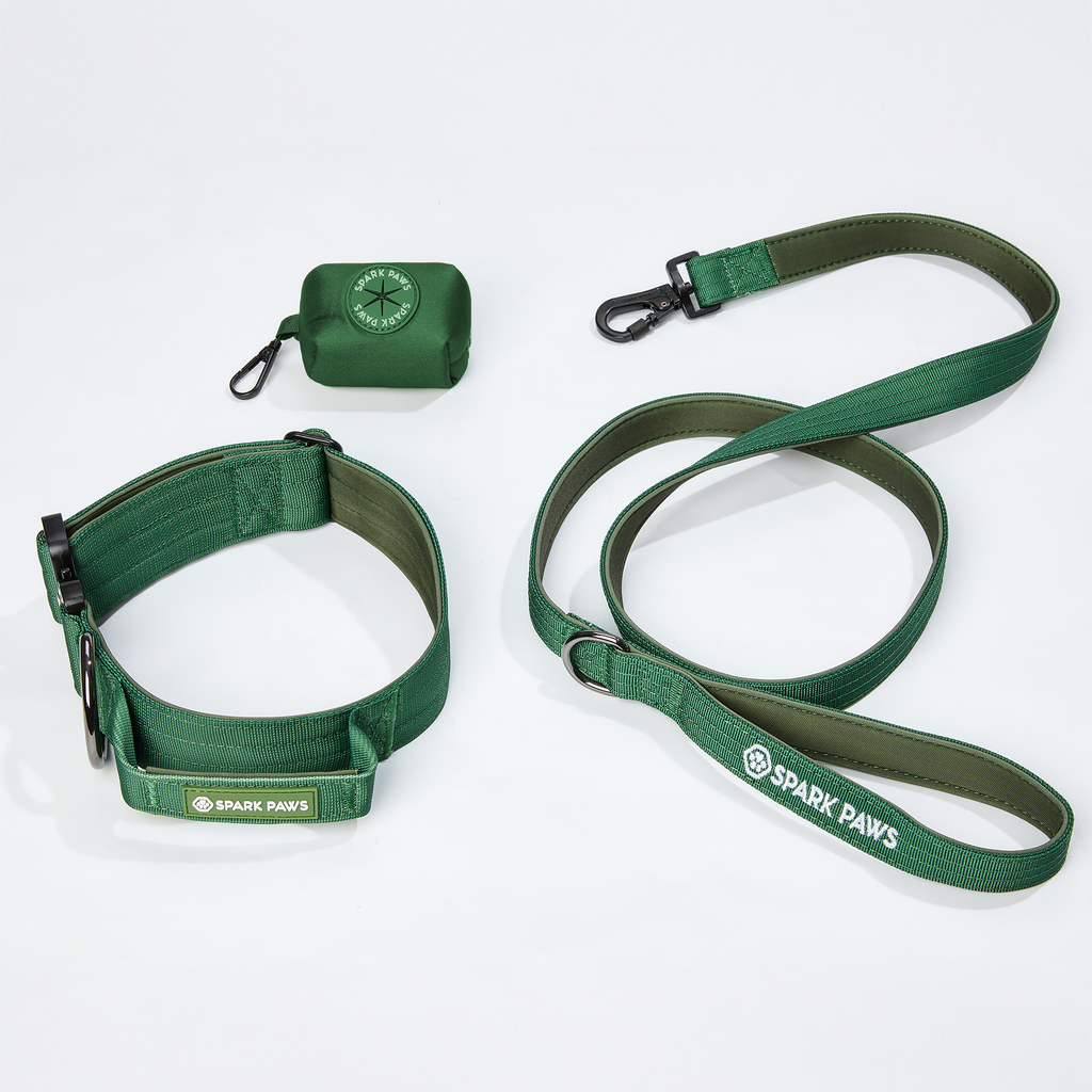 Comfort Control Dog Collar Sets