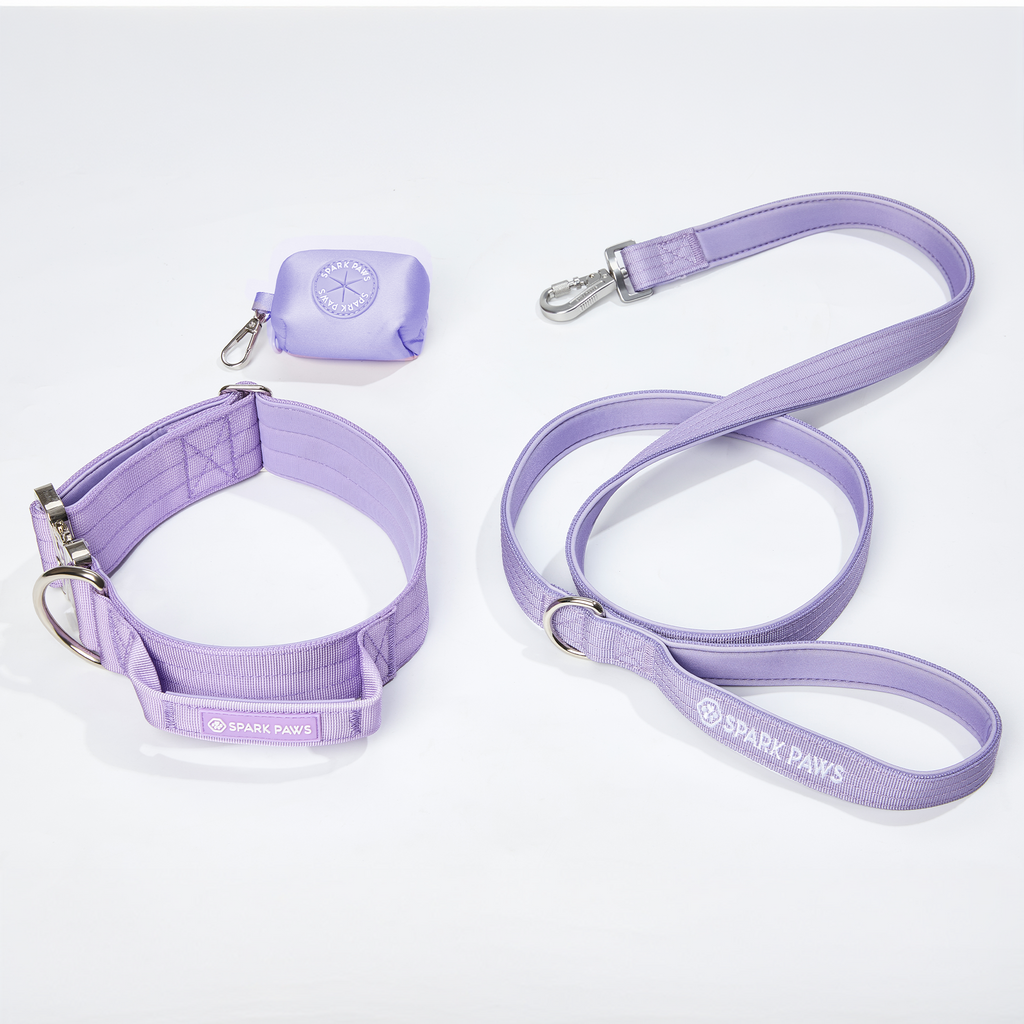 Comfort Control Dog Collar Sets