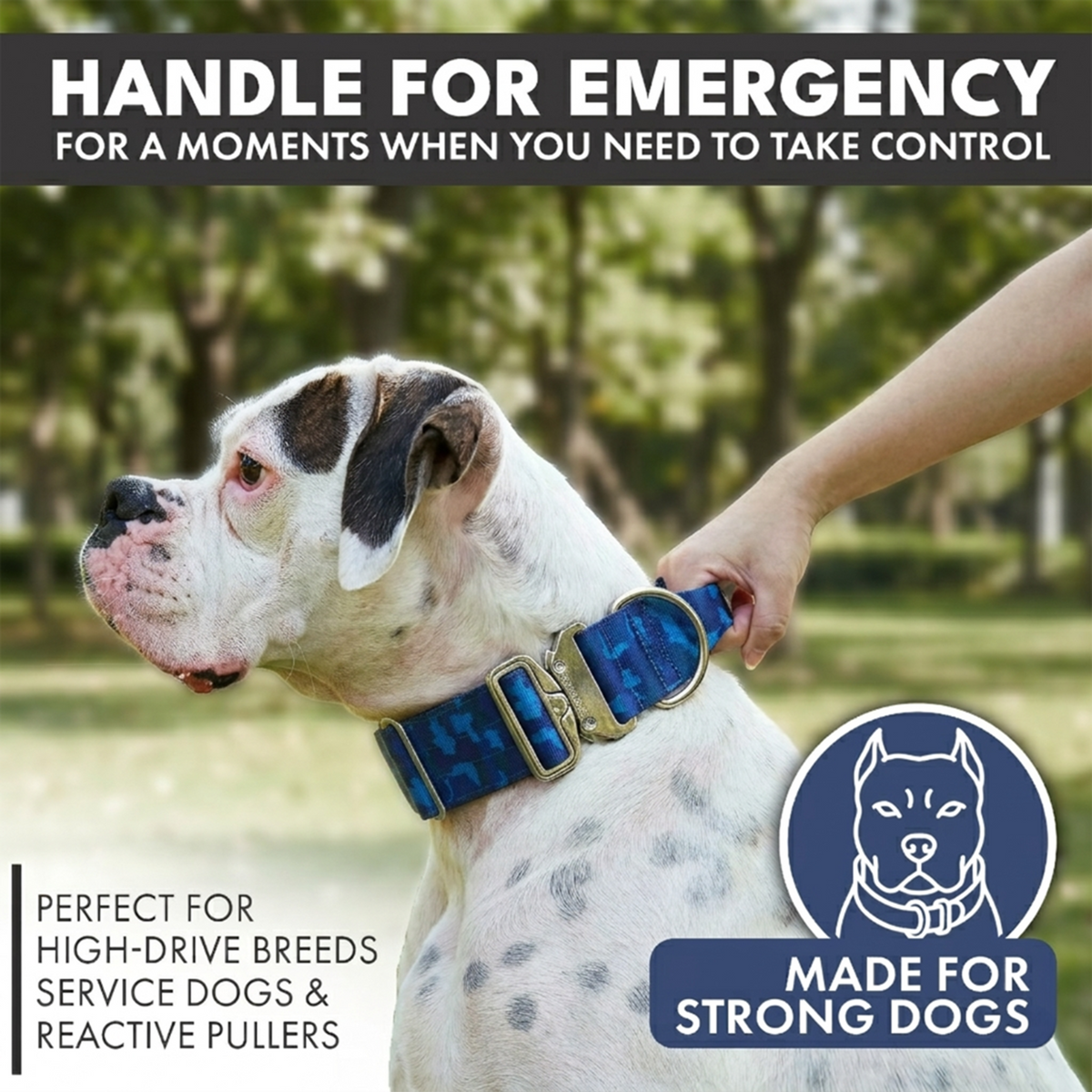 Comfort Control Dog Collar Sets