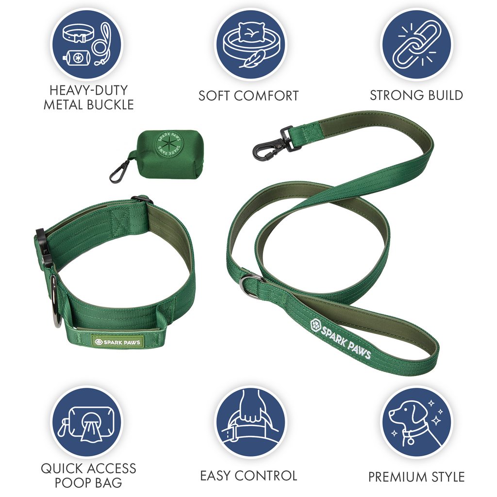 Comfort Control Dog Collar Sets