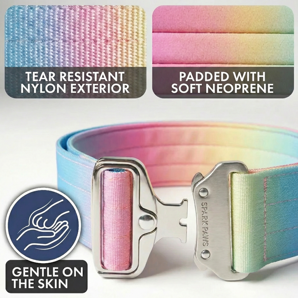 Comfort Control Dog Collar Sets