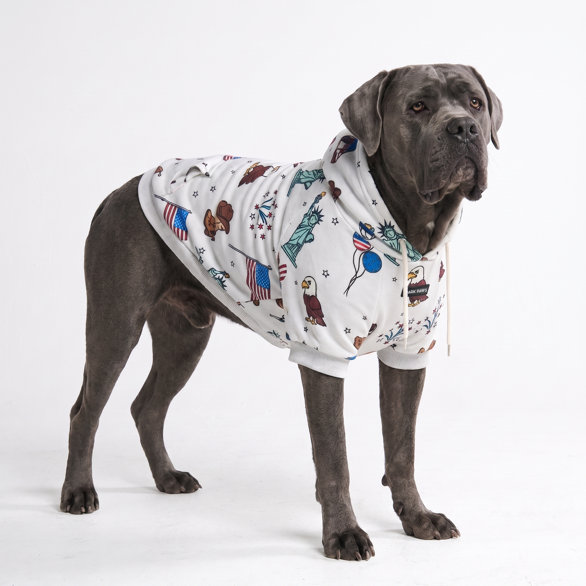 Around the World Dog Hoodies