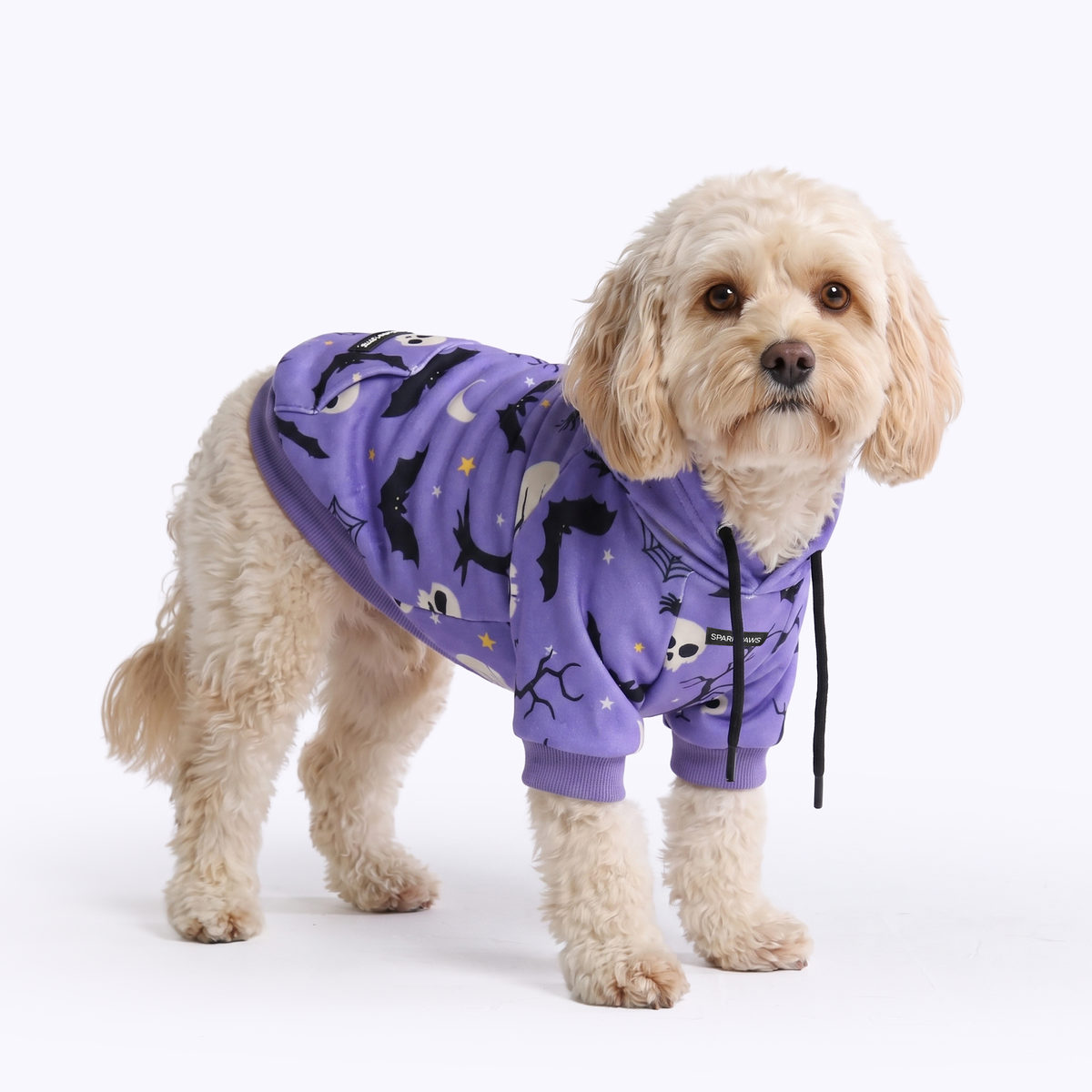 Halloween Dog Hoodies (Limited Edition)