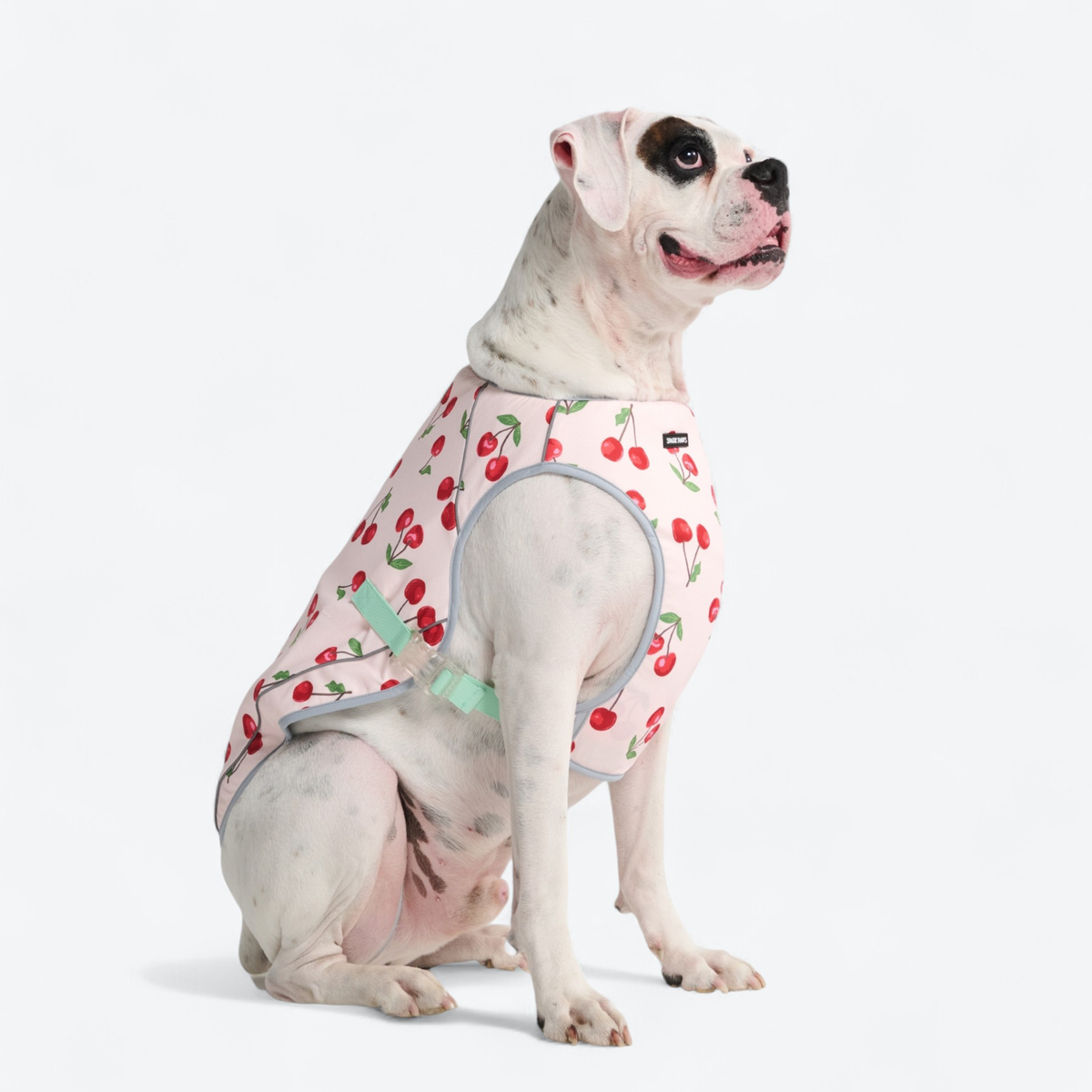 Chilltech™ Dog Cooling Vests