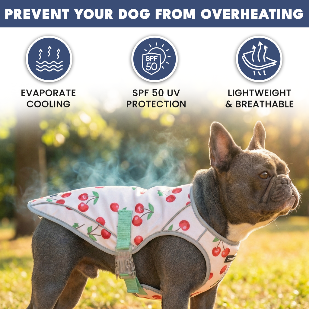 Chilltech™ Dog Cooling Vests
