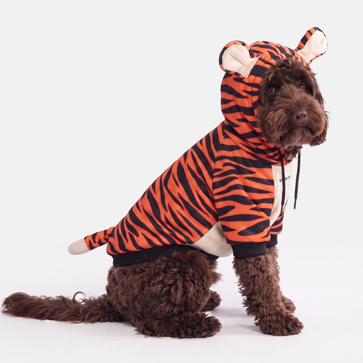 Halloween Dog Hoodies (Limited Edition)