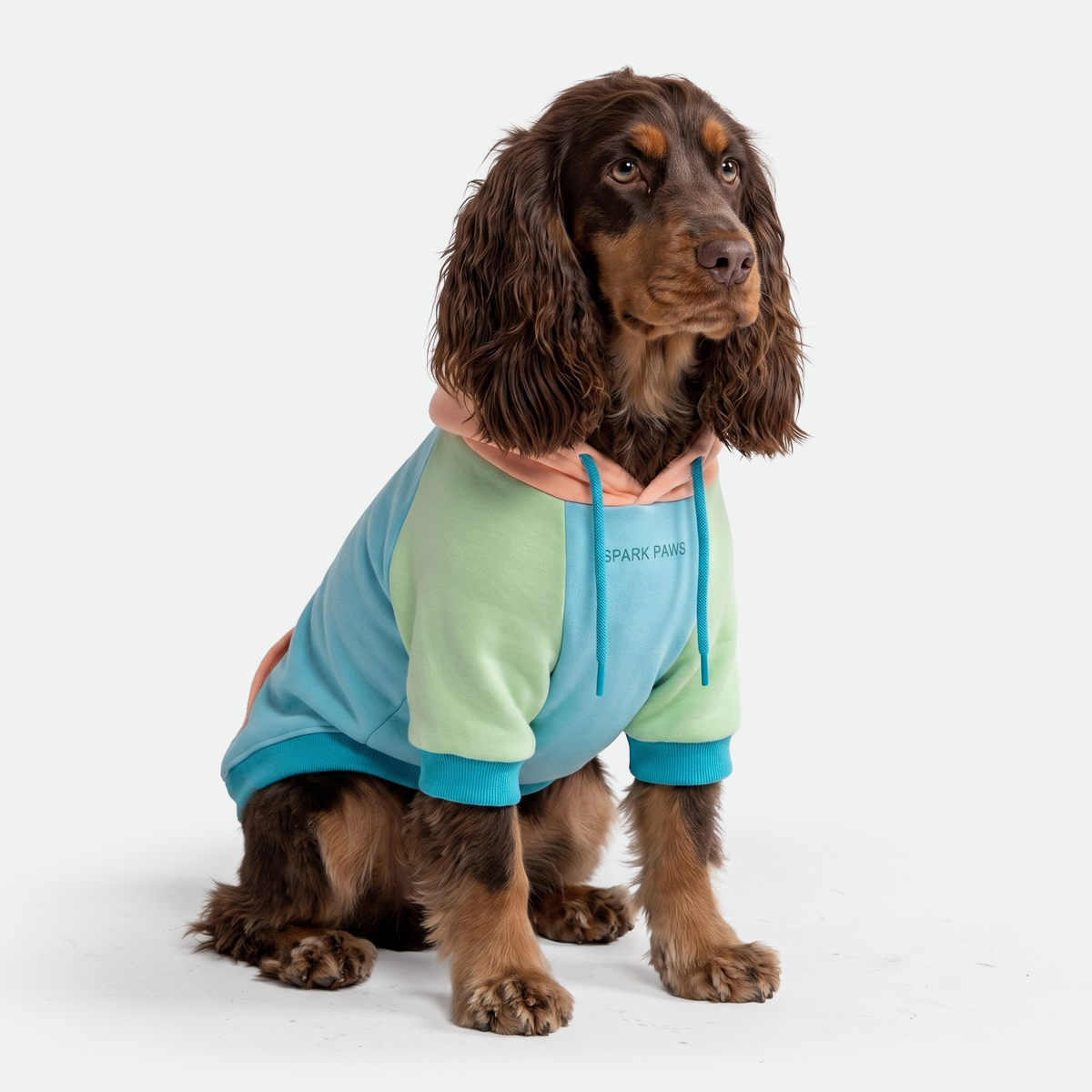 Color Block Dog Hoodies
