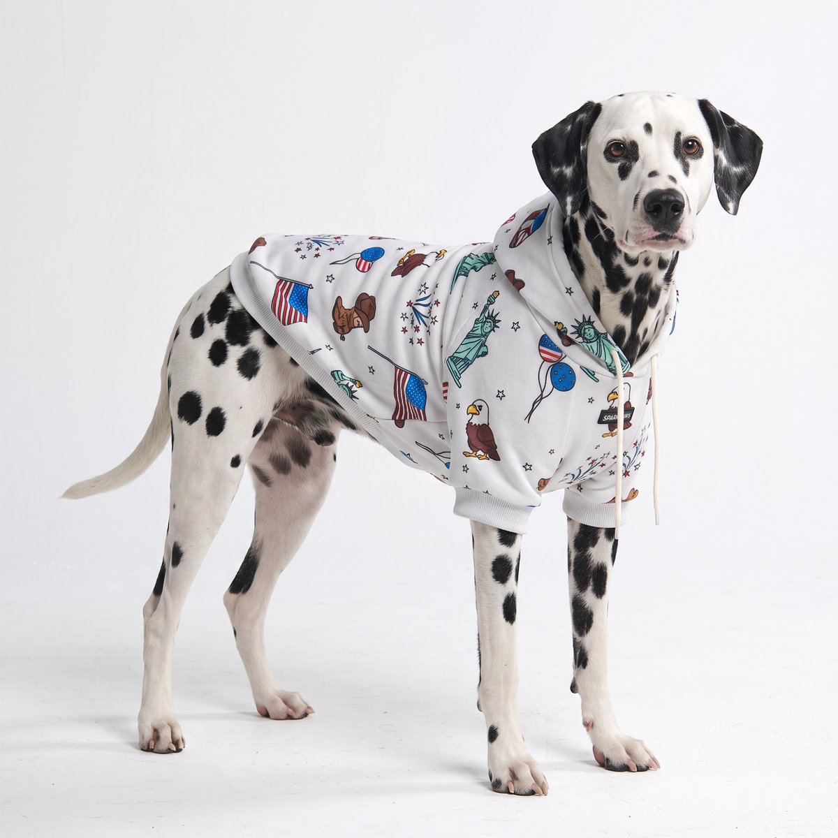 Around the World Dog Hoodies