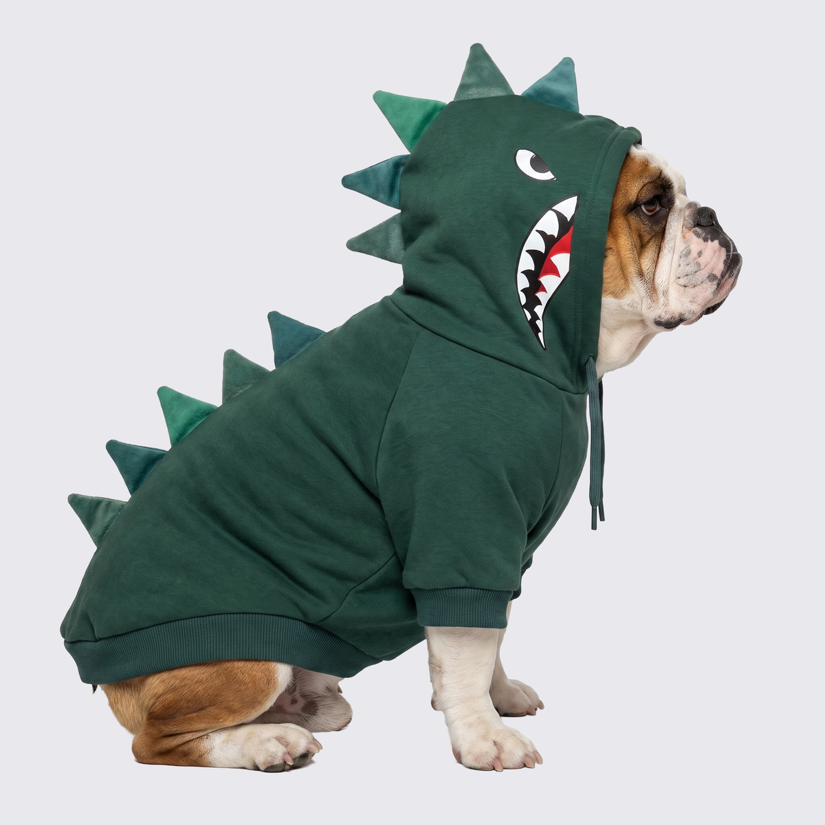 Halloween Dog Hoodies (Limited Edition)