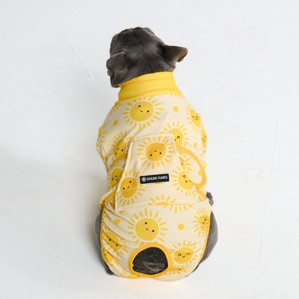Dog Surgical Suit  2-pack