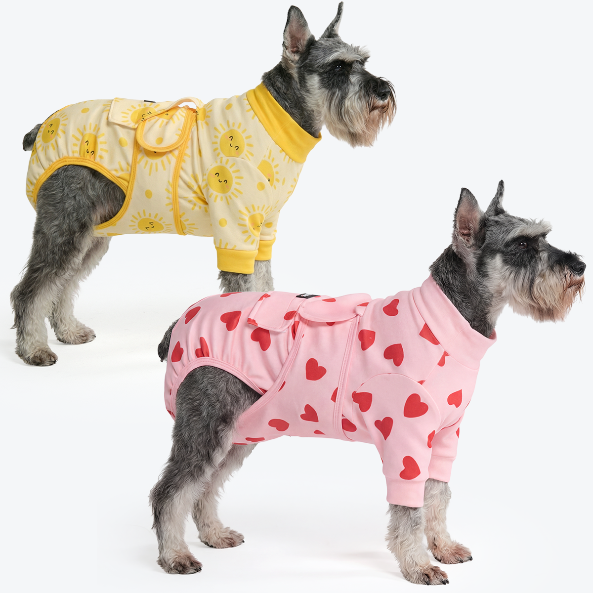 Dog Surgical Suit  2-pack