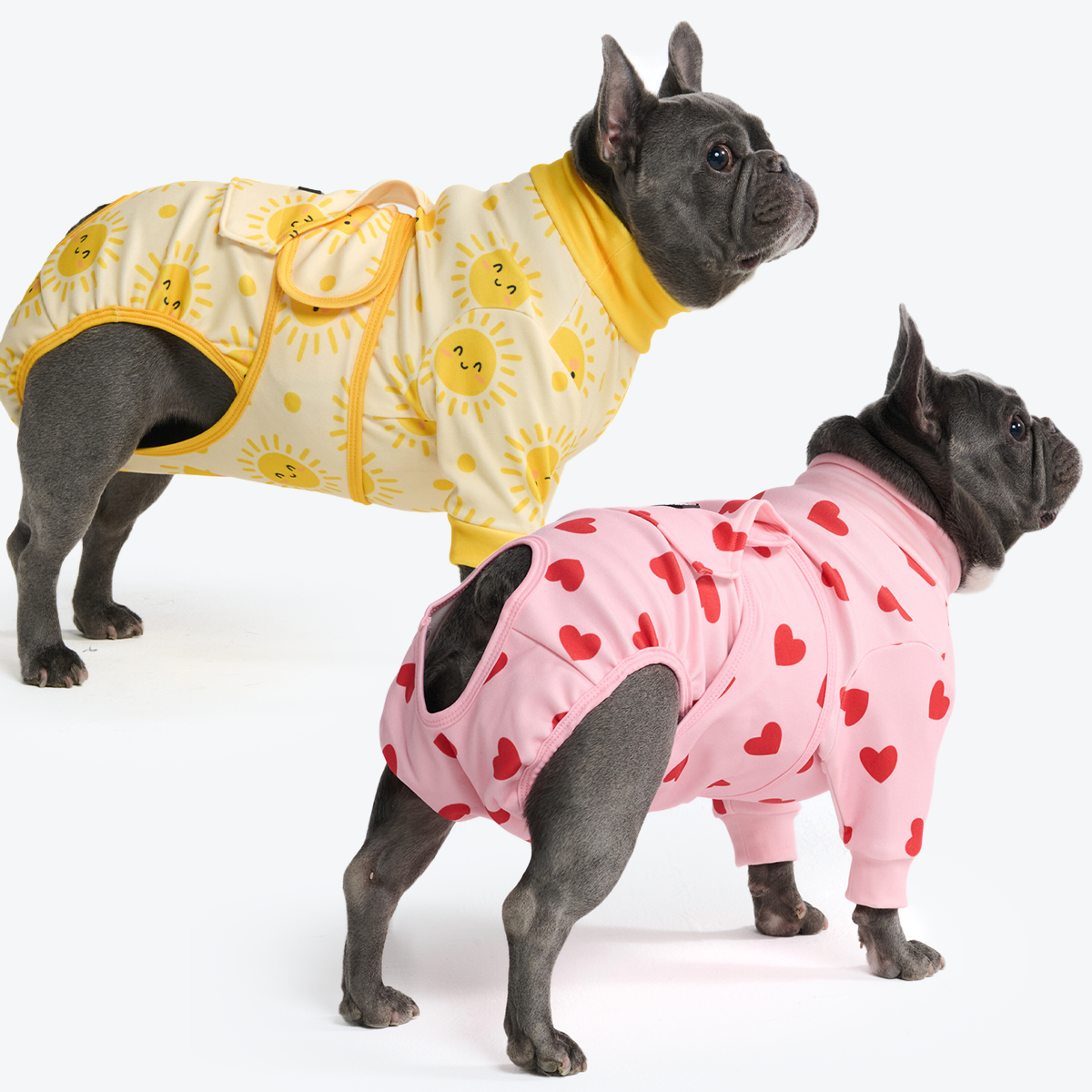 Dog Surgical Suit  2-pack