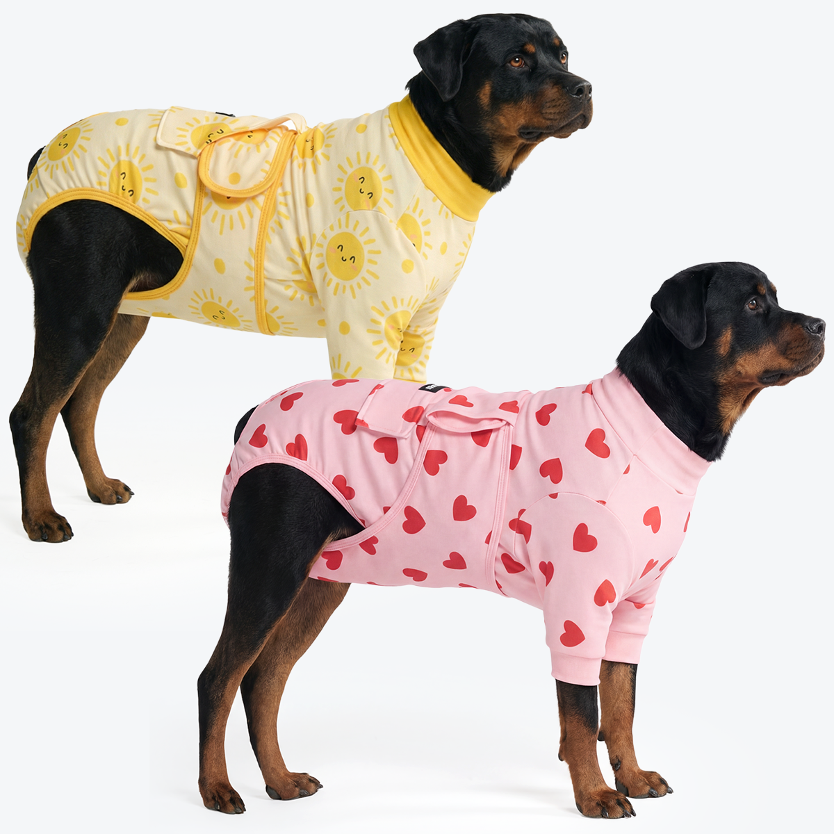 Dog Surgical Suit  2-pack