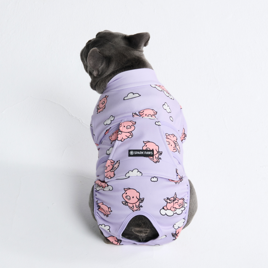 Dog Surgical Suit  2-pack