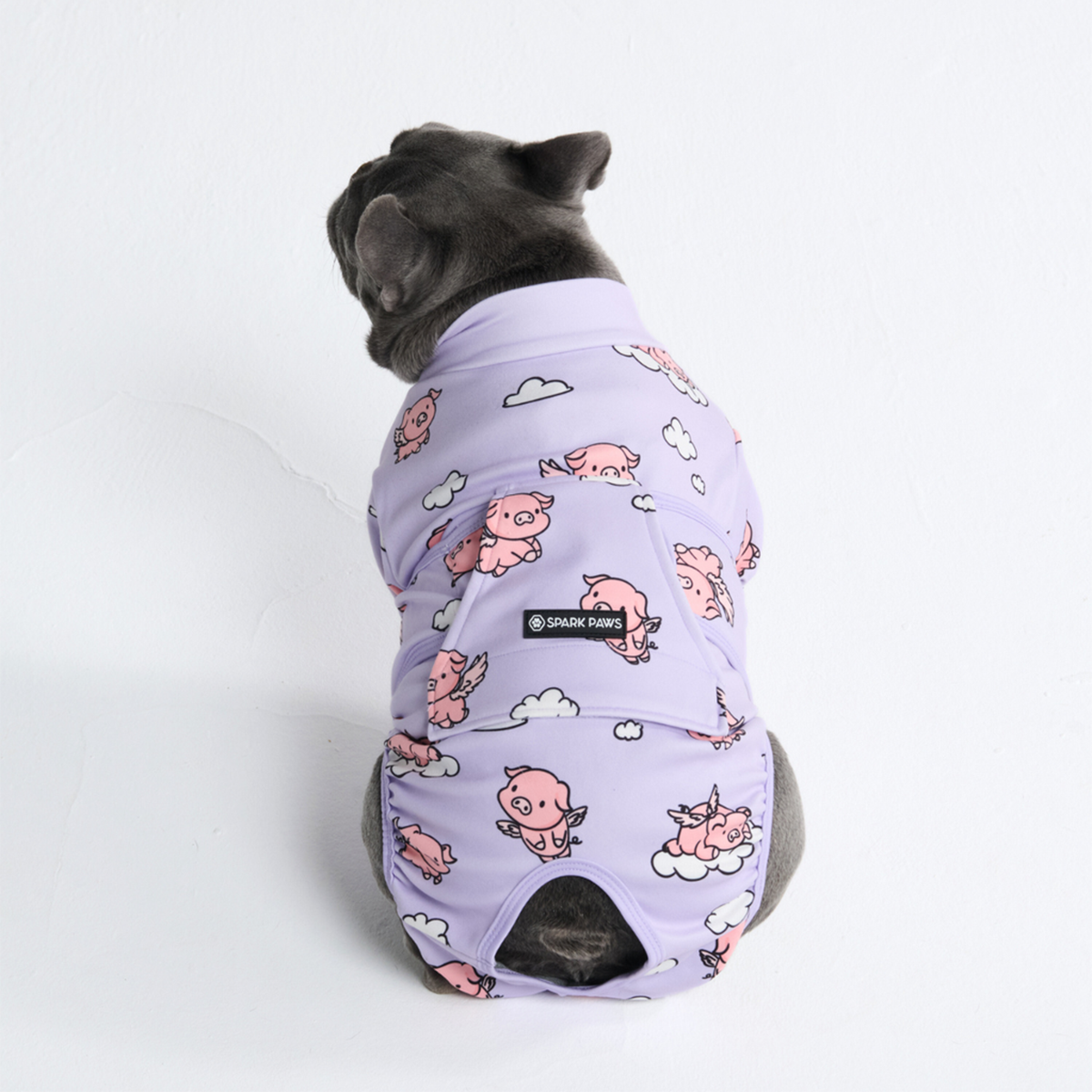 Dog Surgical Suit  2-pack