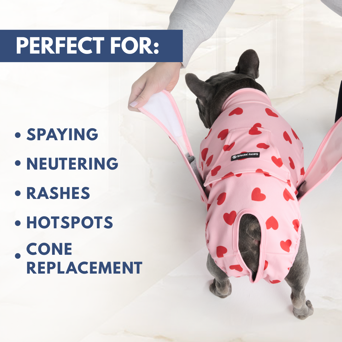 Dog Surgical Suit  2-pack