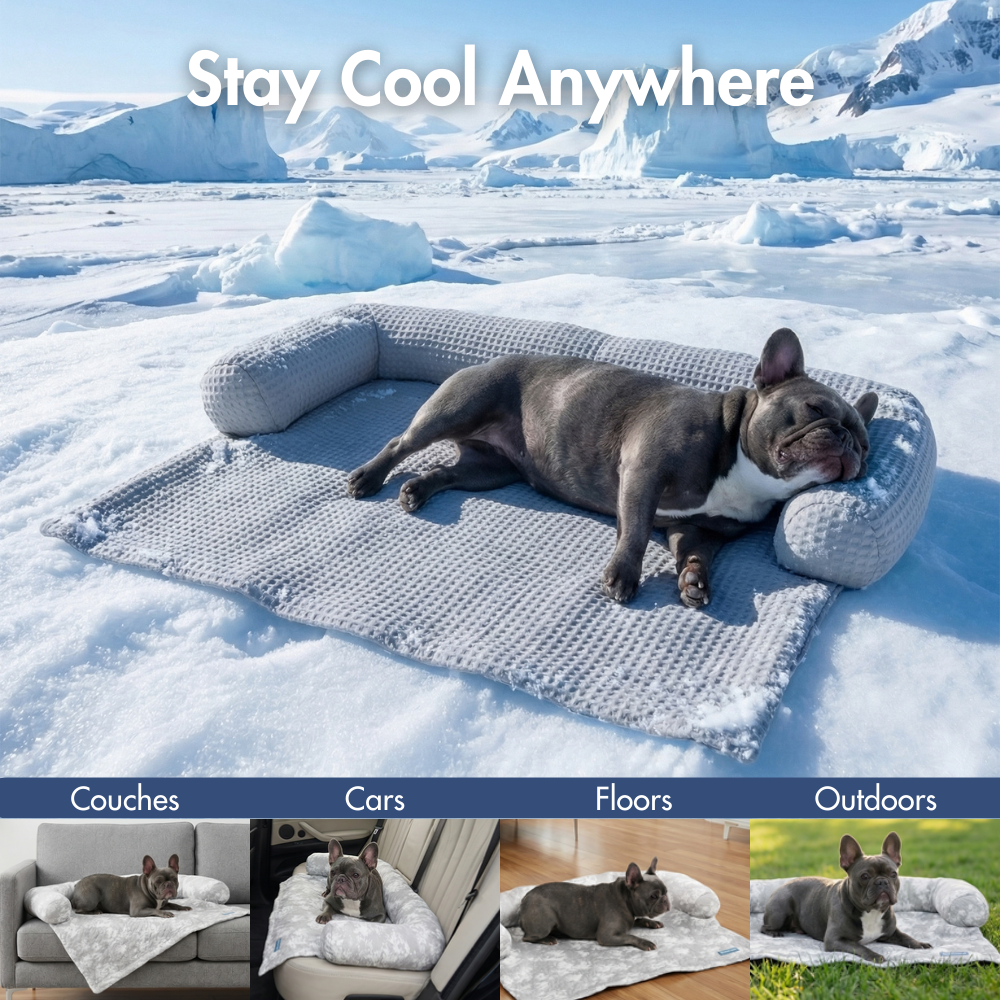 Frostcore™ Cooling Couch Cover Dog Bed