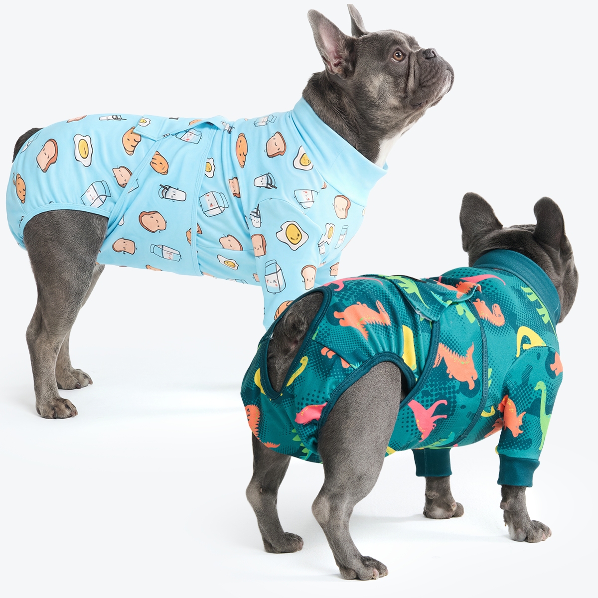 Dog Surgical Suit  2-pack