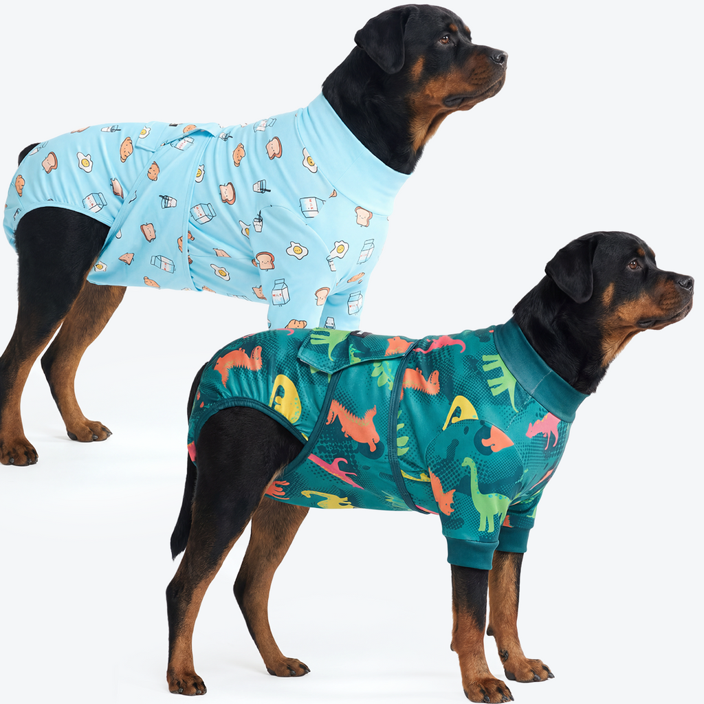 Dog Surgical Suit  2-pack