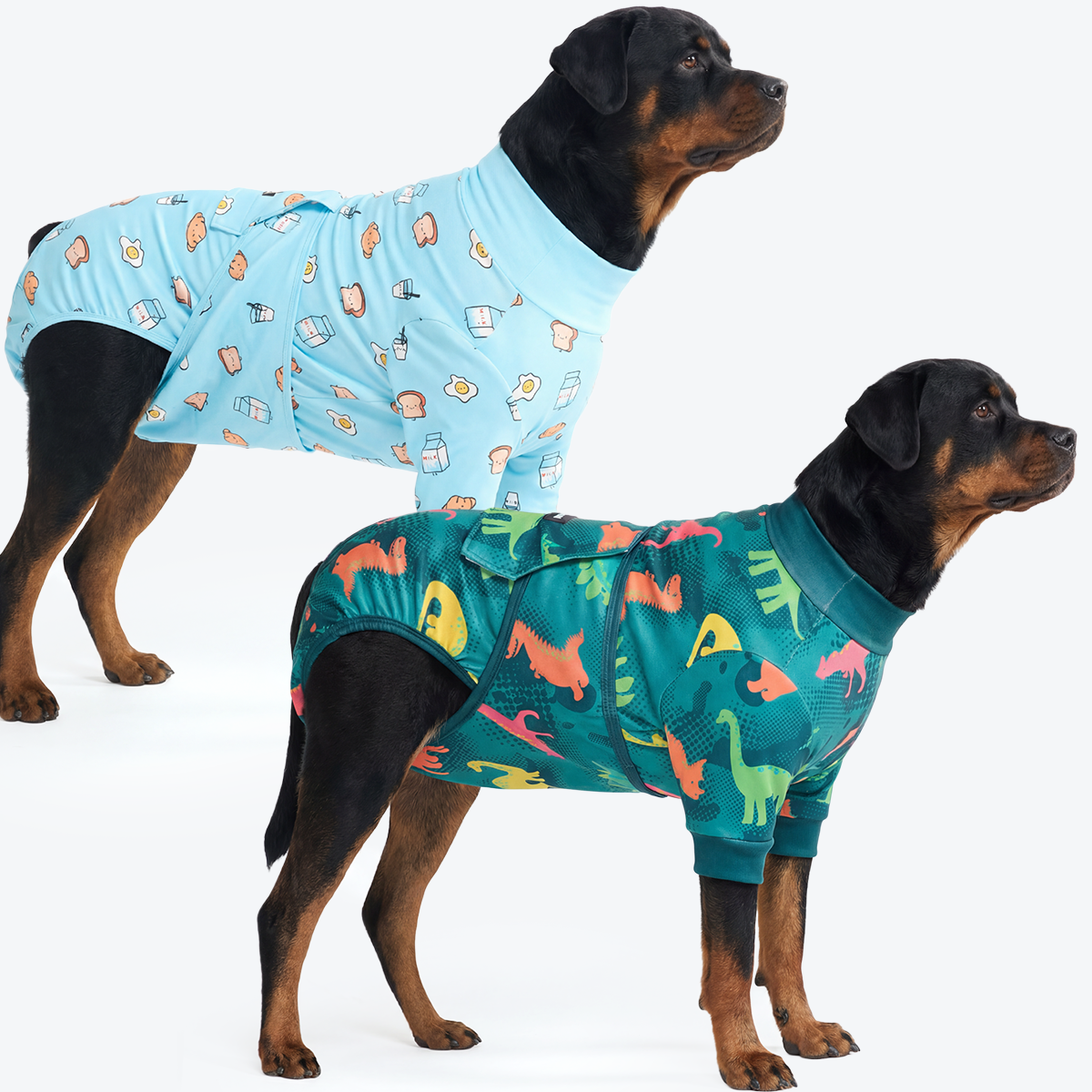 Dog Surgical Suit  2-pack