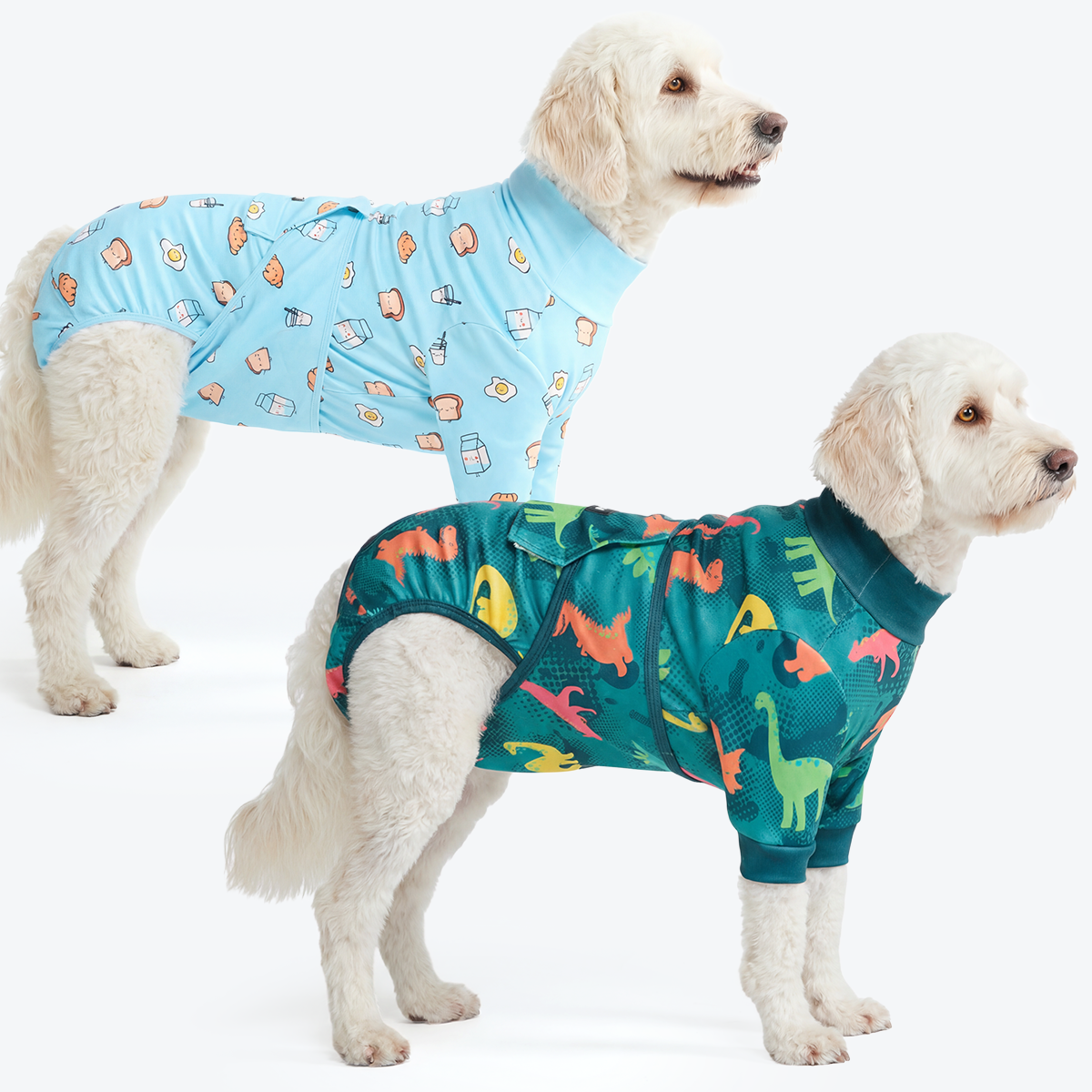 Dog Surgical Suit  2-pack