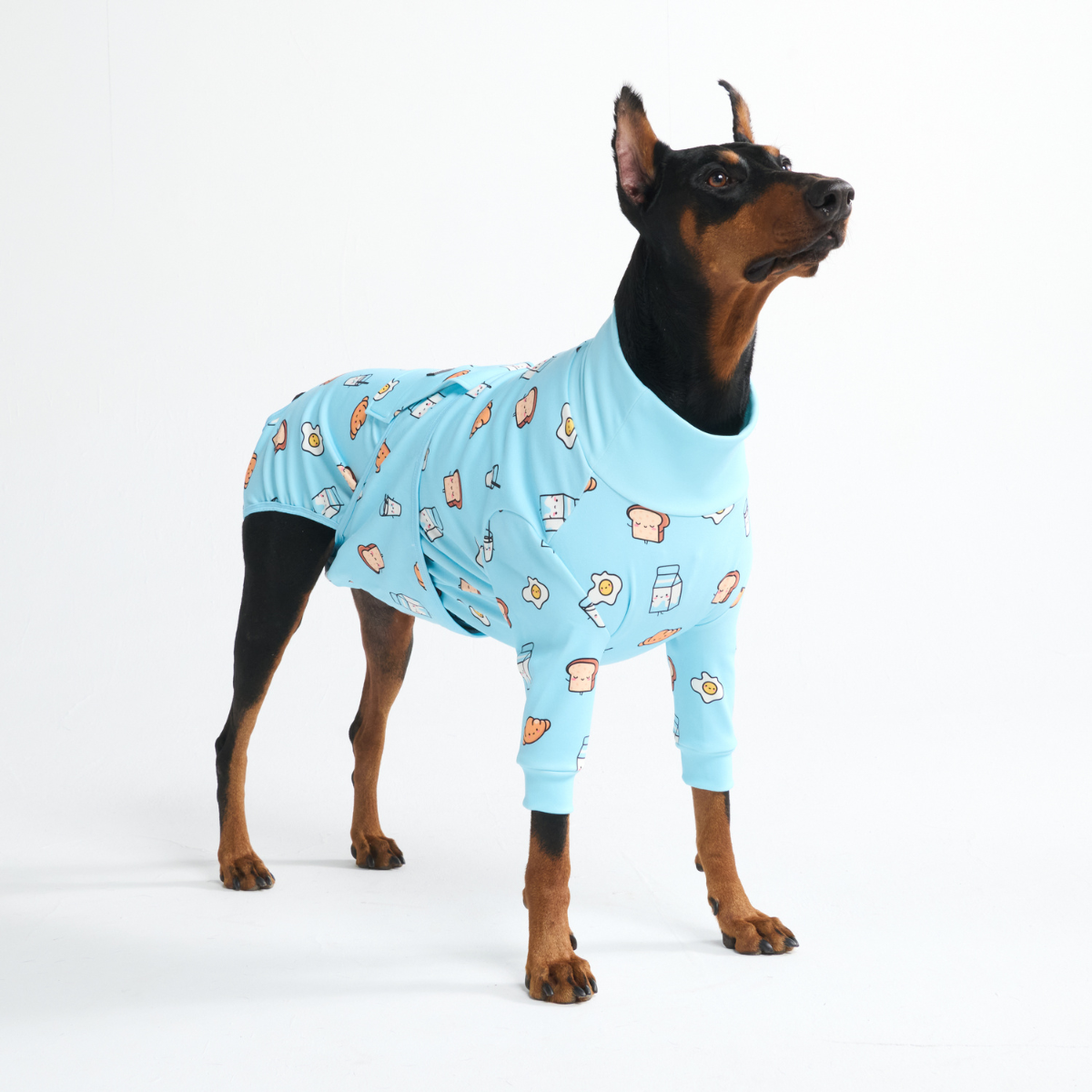 Dog Surgical Suit  2-pack