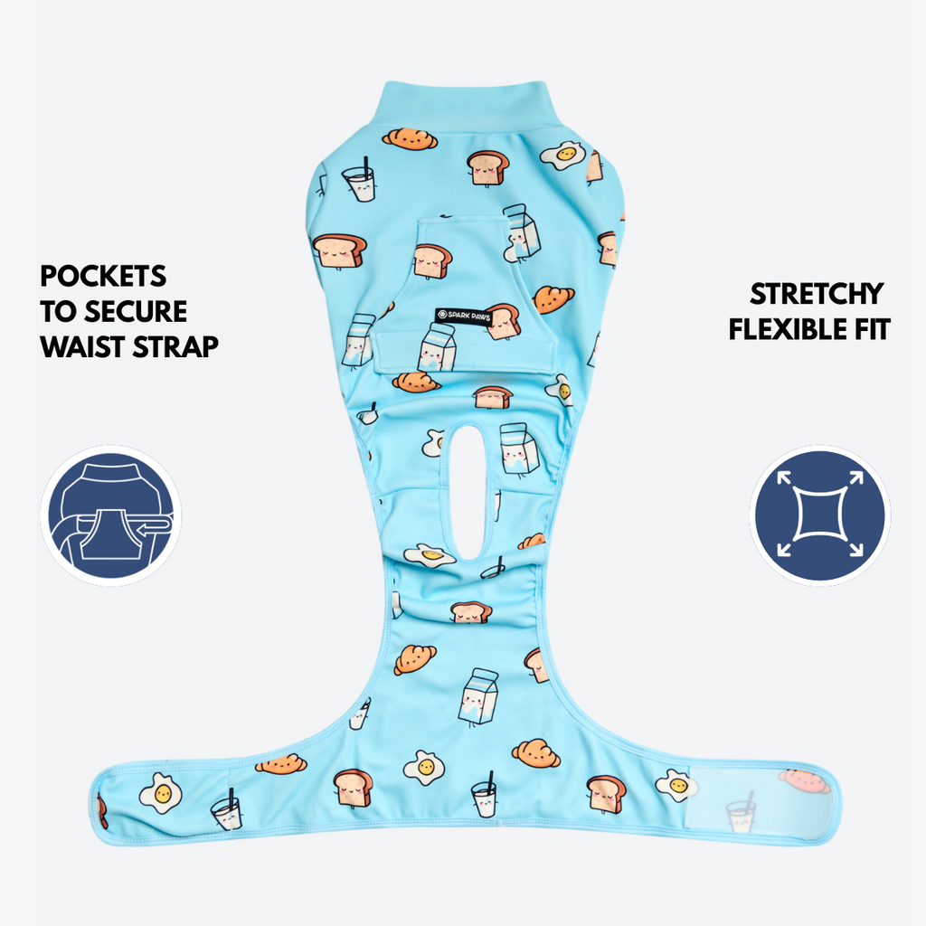 Dog Surgical Suit  2-pack