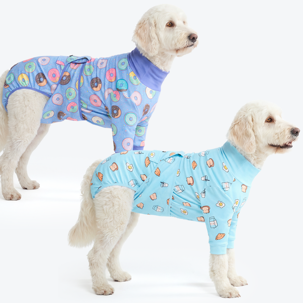 Dog Surgical Suit  2-pack