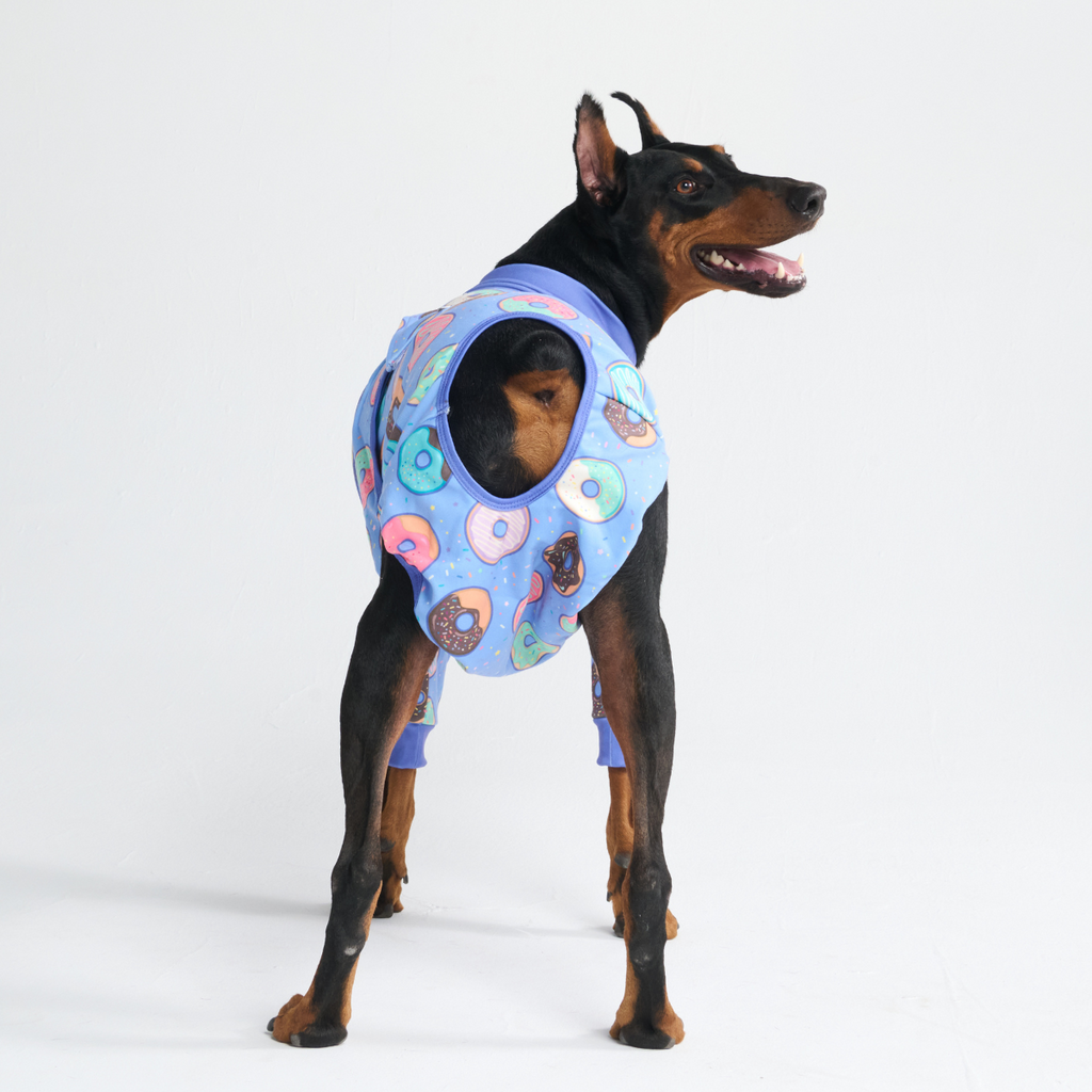Dog Surgical Suit  2-pack