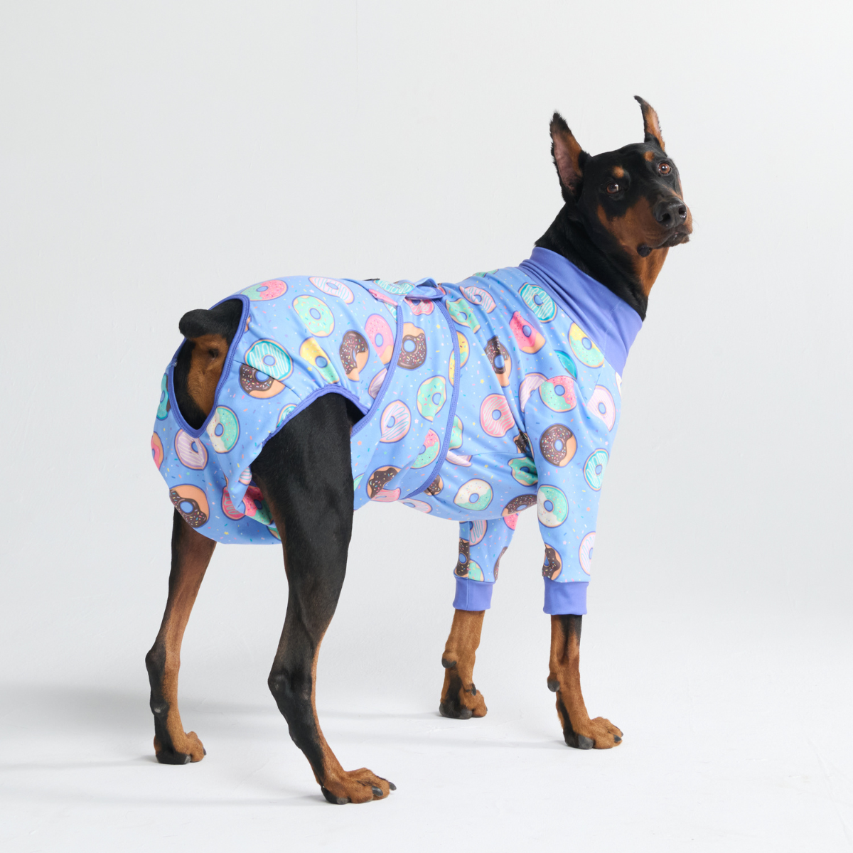 Dog Surgical Suit  2-pack