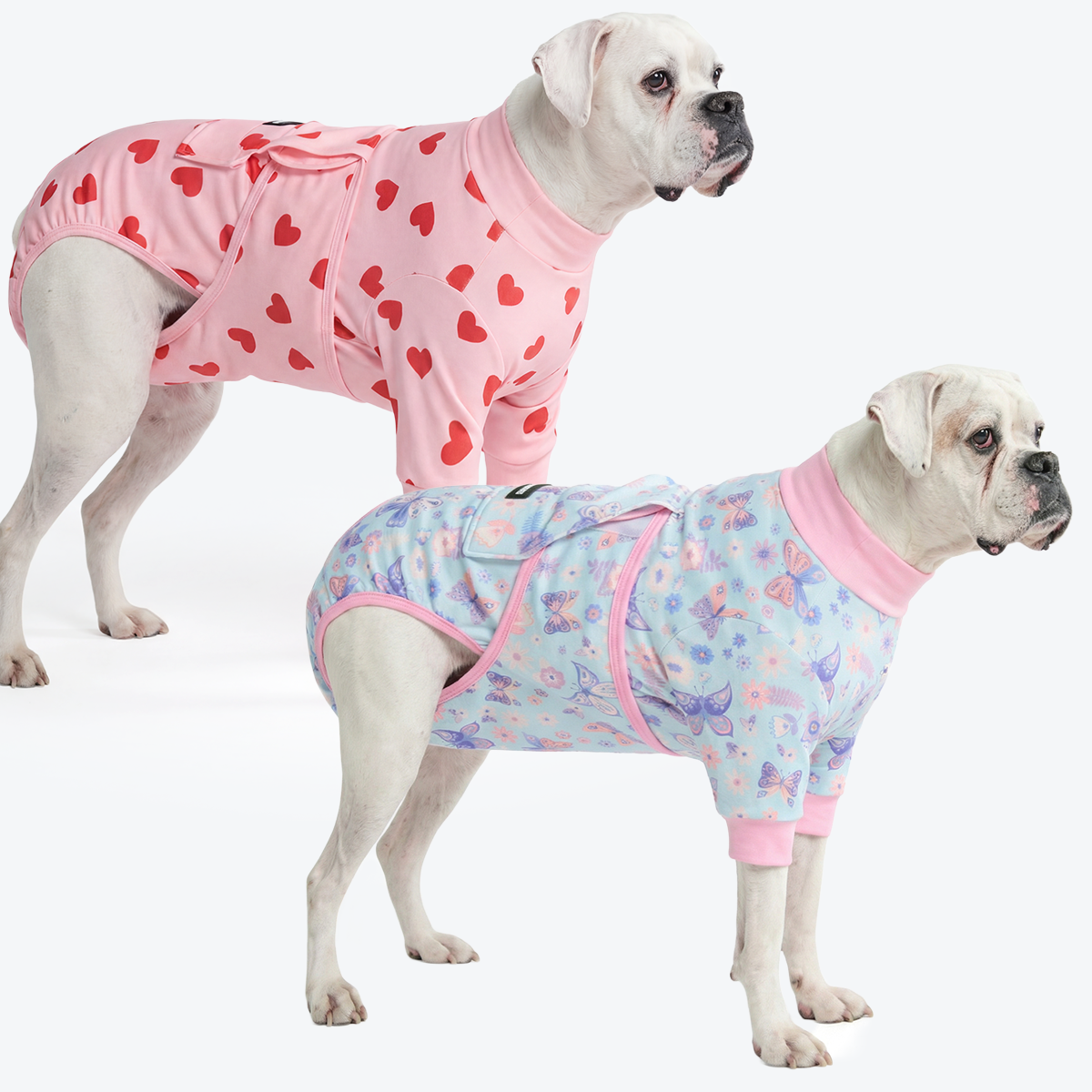 Dog Surgical Suit  2-pack