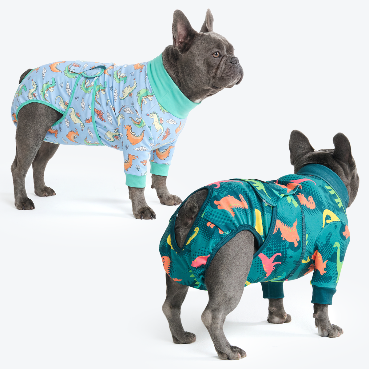 Dog Surgical Suit  2-pack