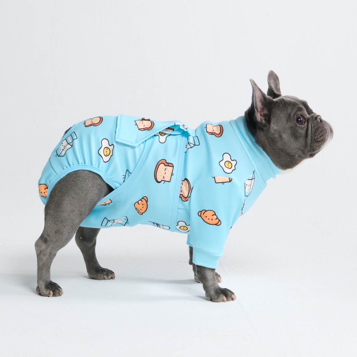 Dog Surgical Suit