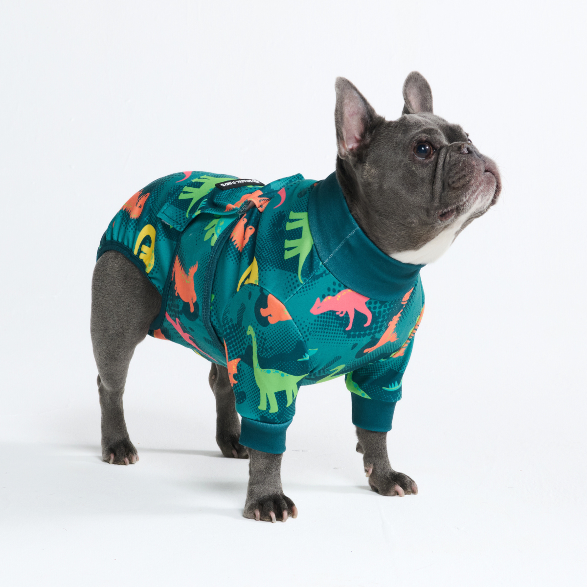 Dog Surgical Suit