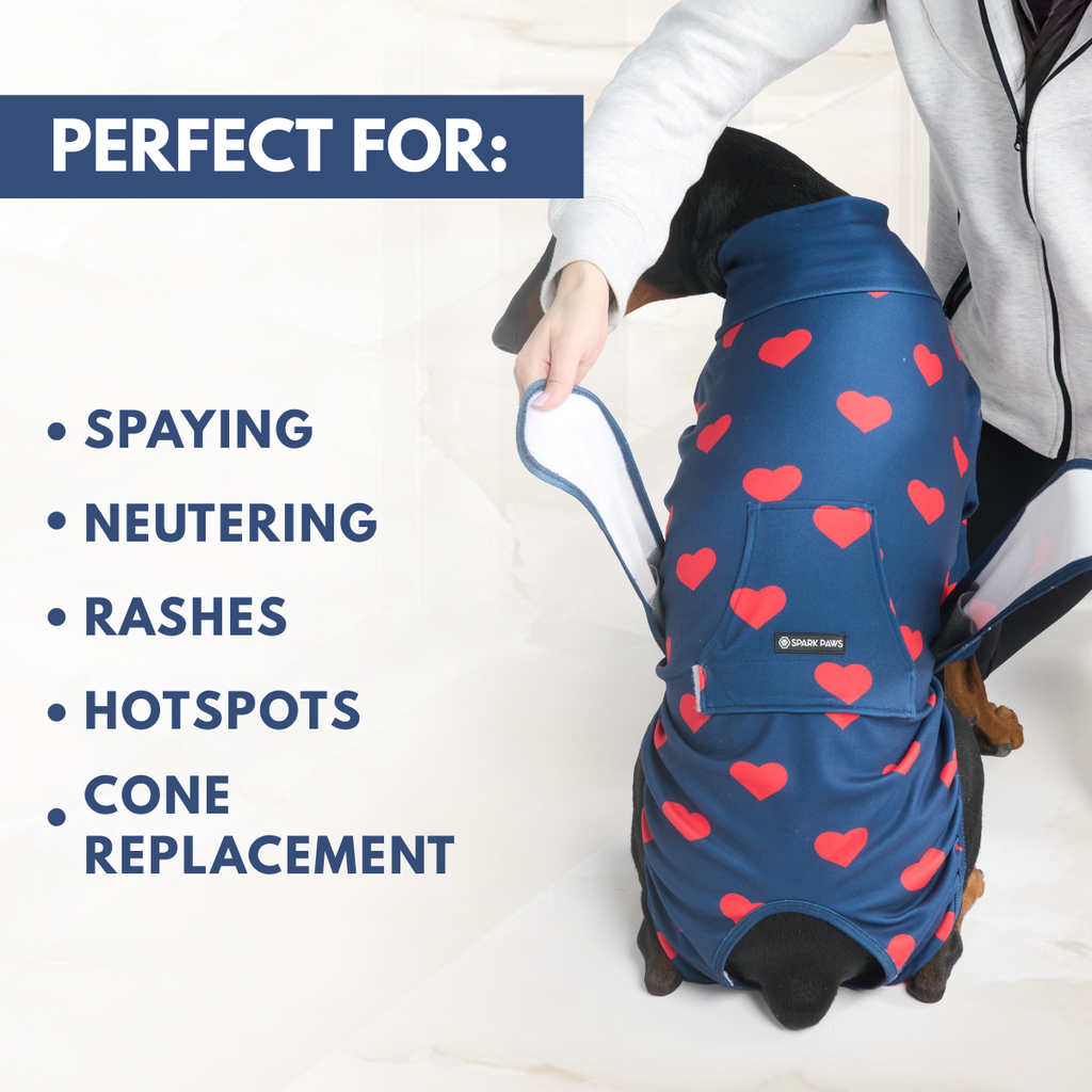 Dog Surgical Suit