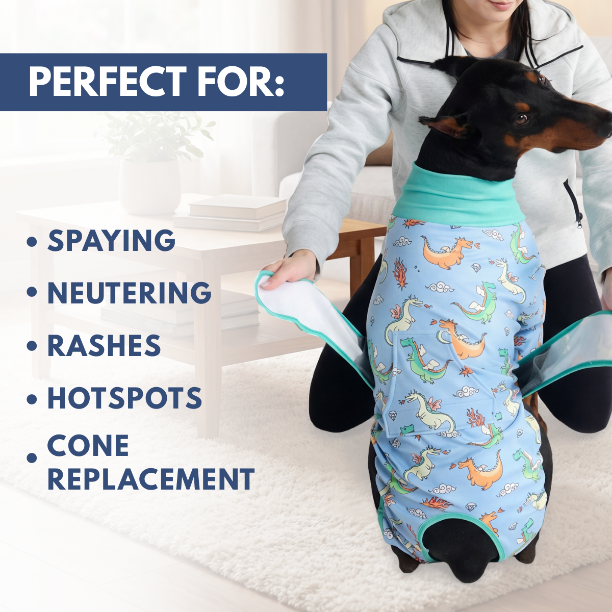 Dog Surgical Suit