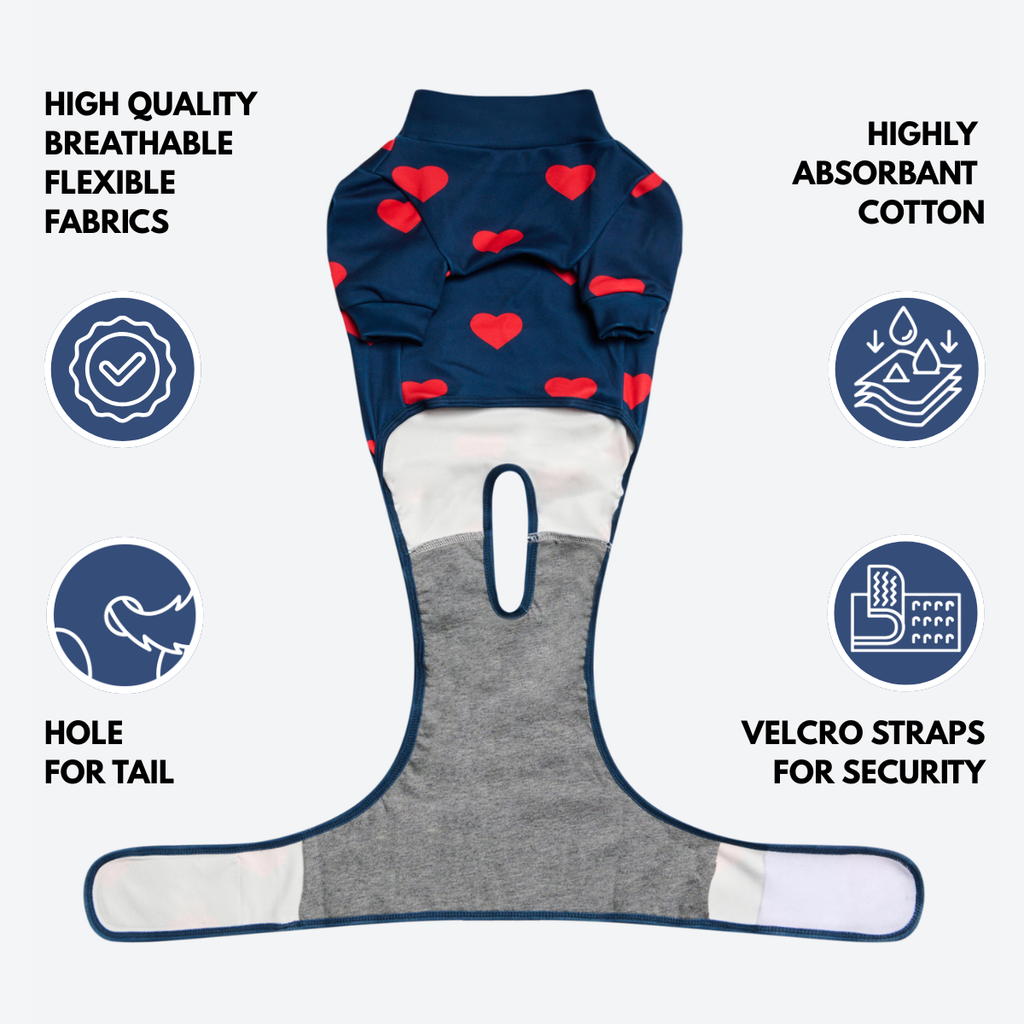Dog Surgical Suit