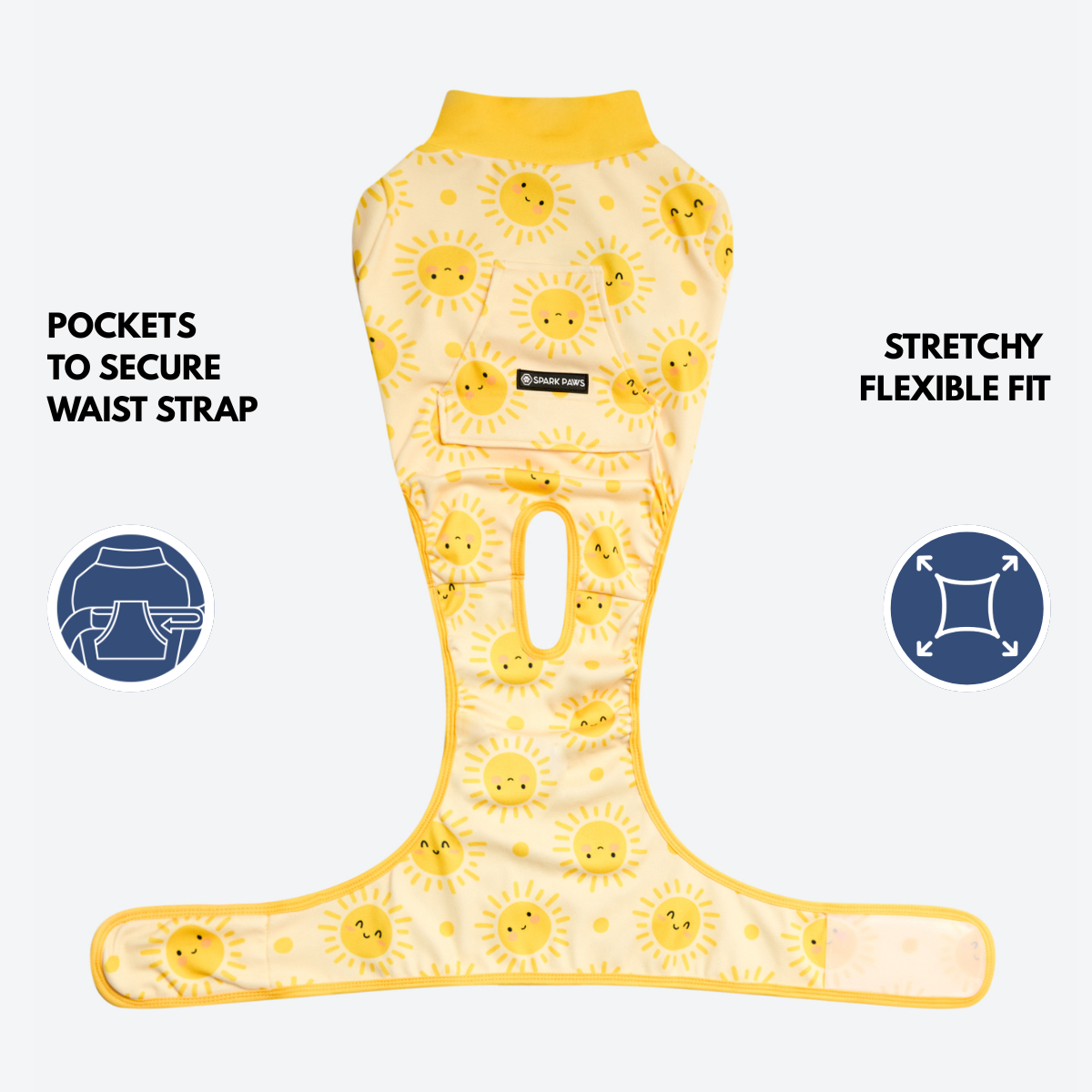 Dog Surgical Suit