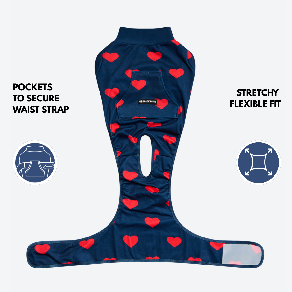 Dog Surgical Suit